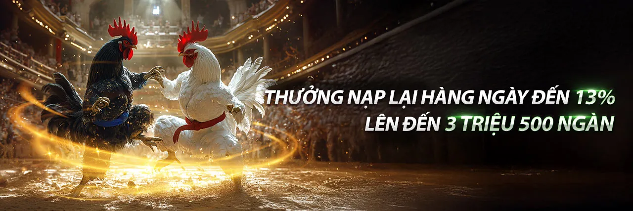 Hoàn Trả Sòng Bạc Hàng Ngày